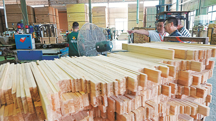 一树兴业，争做道地“香杉人”——从南湖红船看柳州杉木产业的传承与创新